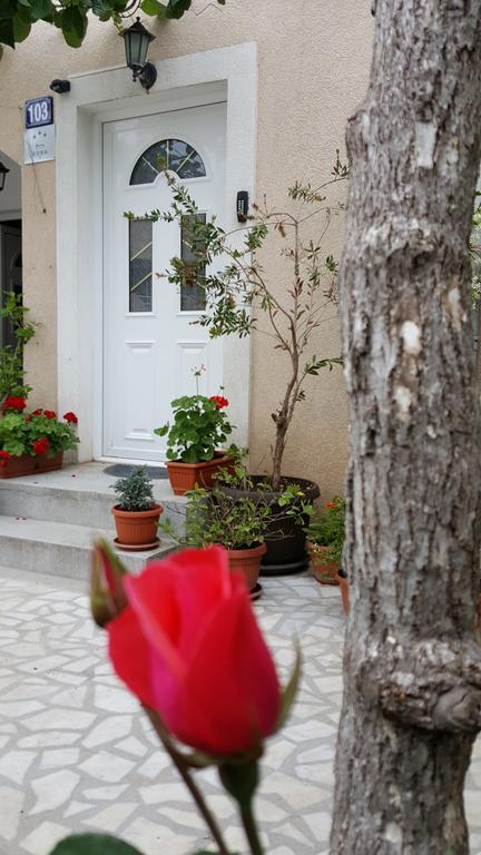 Hibiscus Guest House บุดวา ภายนอก รูปภาพ
